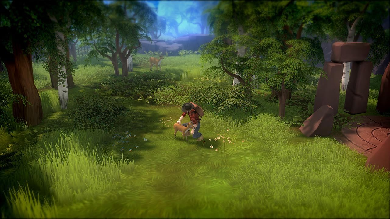 Thumbnail 6