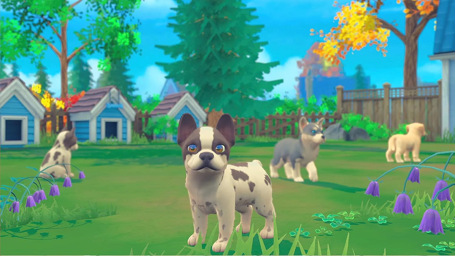 Thumbnail 5